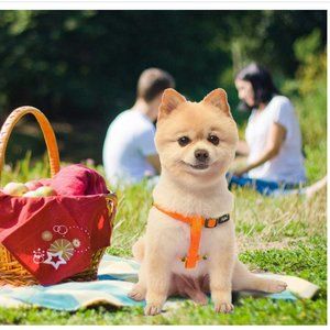 ❤️ Orange Dog Harness Size Medium